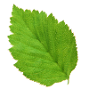 بازسازی ساختمان و ویلا