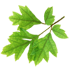 بازسازی ساختمان و ویلا